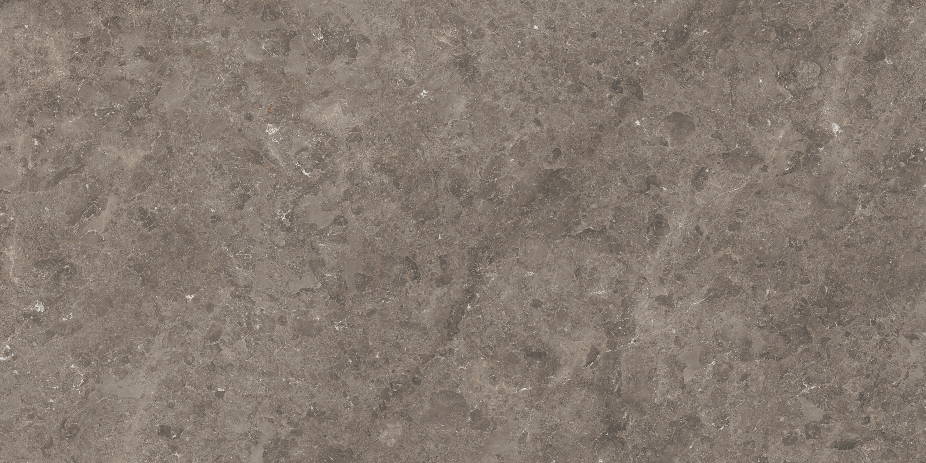 Gris du Gent satiné